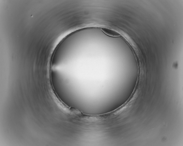 X0000089961246200707201941