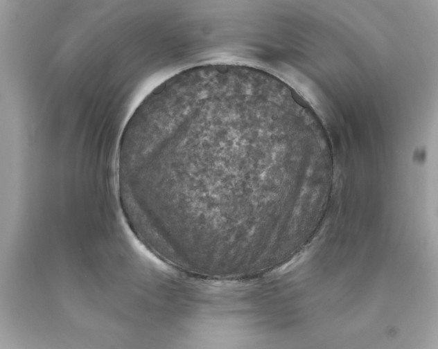 X0000089961247200707201941