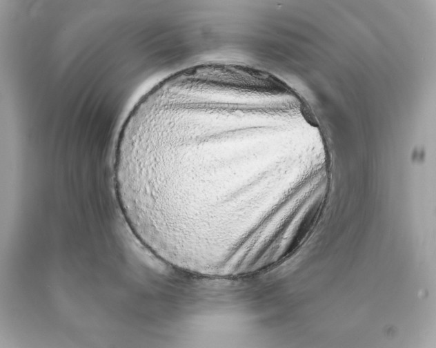 X0000089961248200707201941