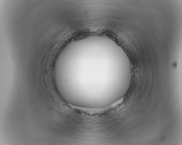 X0000089961249200707201940