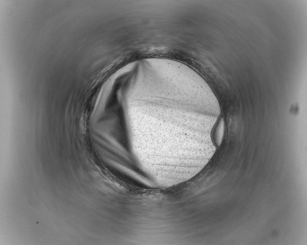 X0000089961250200707201940