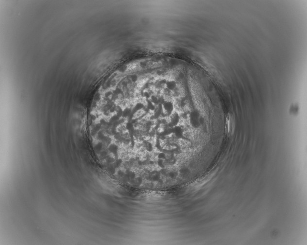 X0000089961251200707201940