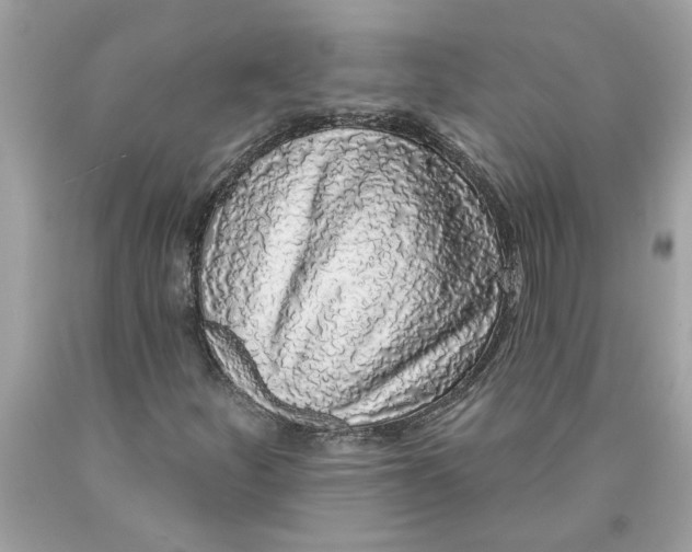 X0000089961252200707201940