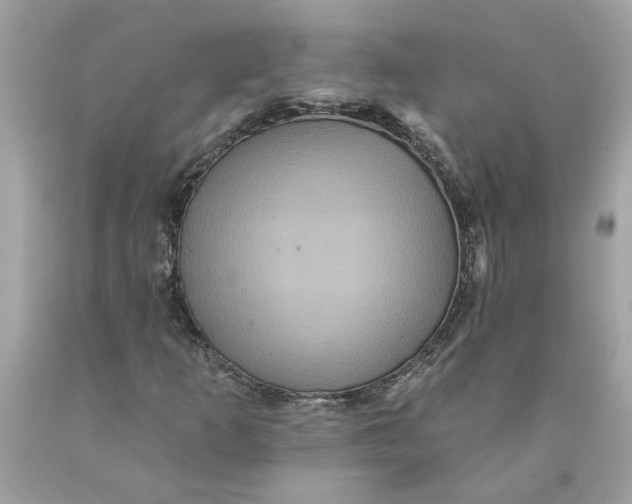 X0000089961253200707201940