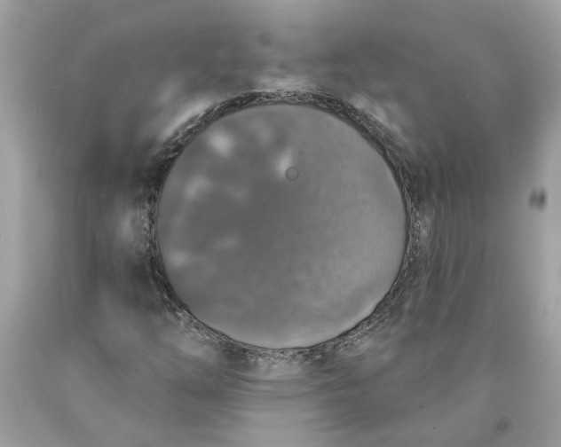 X0000089961254200707201940