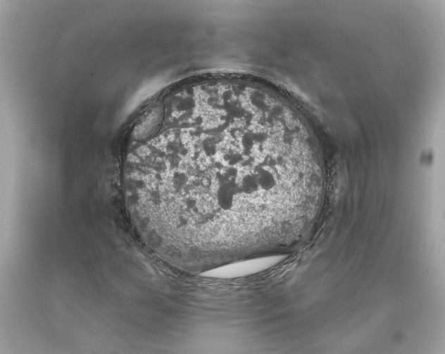 X0000089961255200707201940