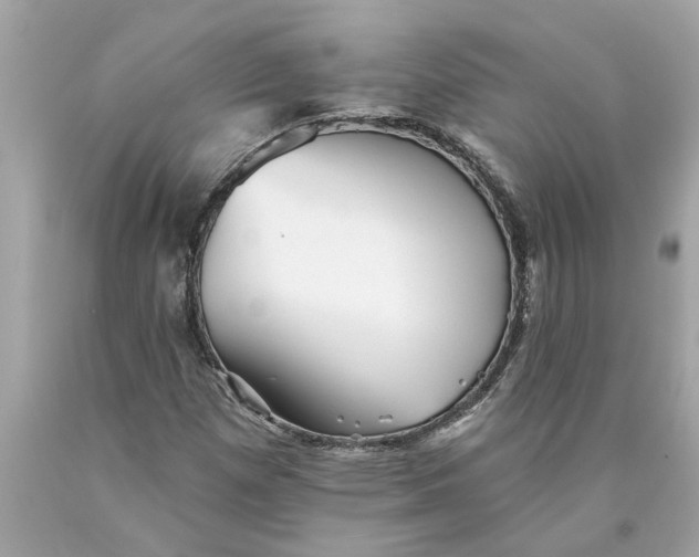 X0000089961257200707201940