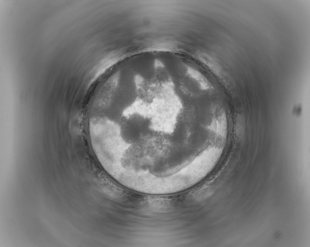 X0000089961258200707201940