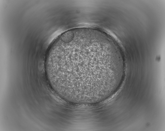 X0000089961259200707201940