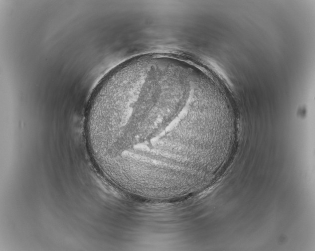 X0000089961260200707201940