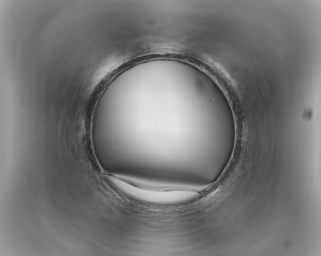 X0000089961261200707201940