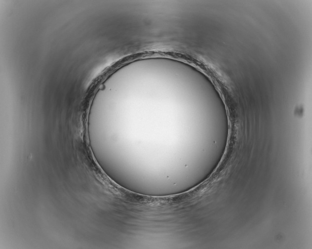 X0000089961262200707201940