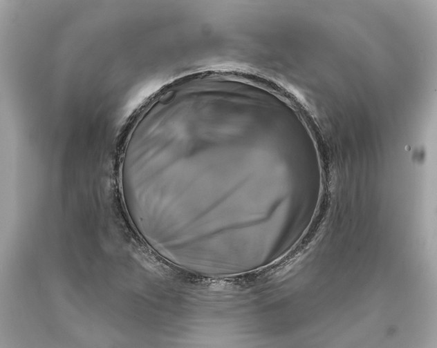 X0000089961263200707201940