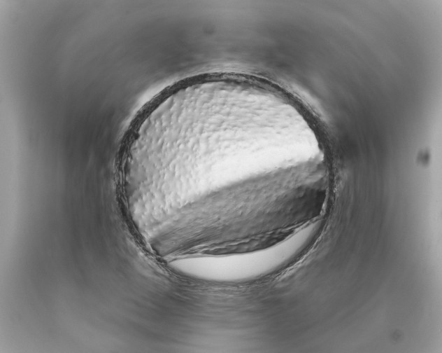 X0000089961264200707201940