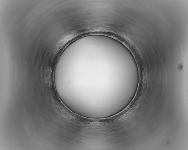 X0000089961265200707201940