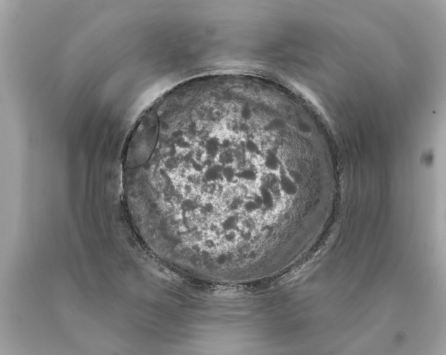 X0000089961267200707201940