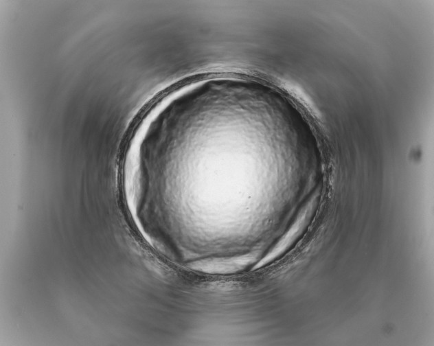 X0000089961268200707201940