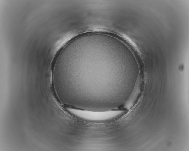 X0000089961269200707201940