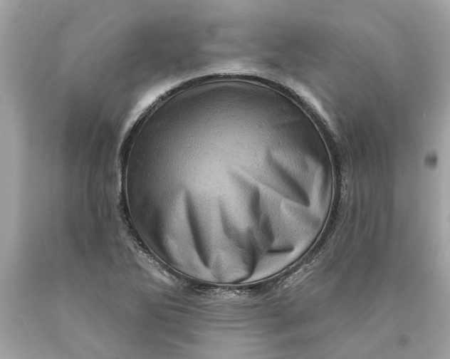 X0000089961270200707201940