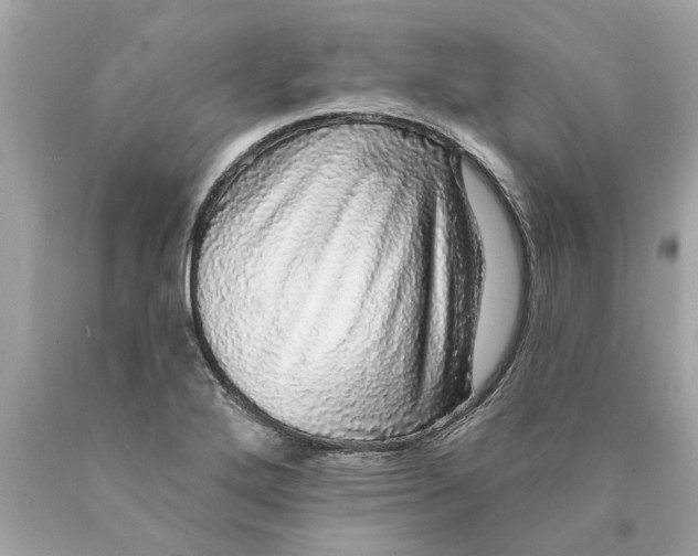 X0000089961272200707201940