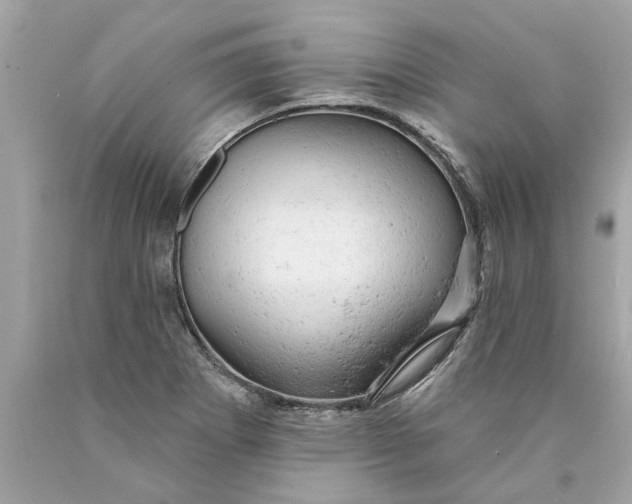 X0000089961273200707201940