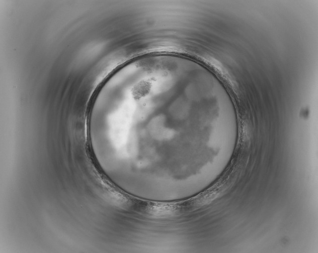 X0000089961274200707201940