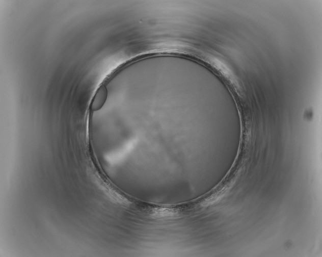 X0000089961275200707201940