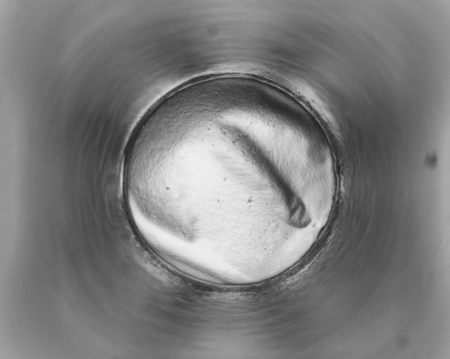 X0000089961276200707201940