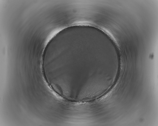 X0000089961277200707201940