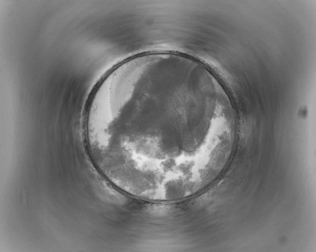 X0000089961278200707201940