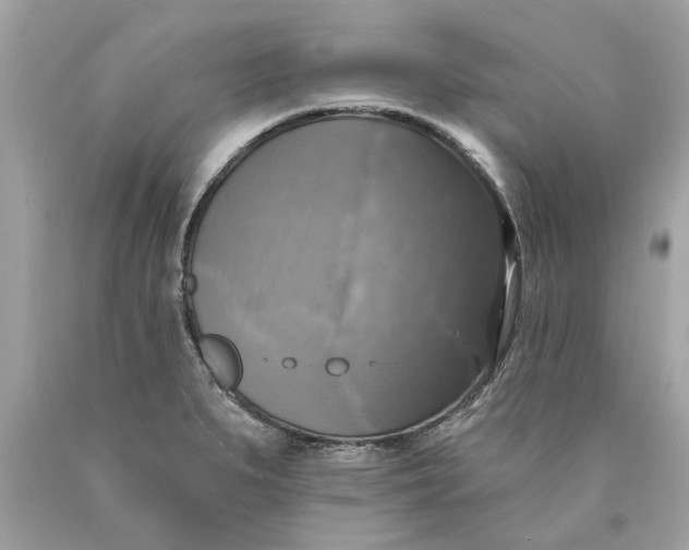 X0000089961279200707201940