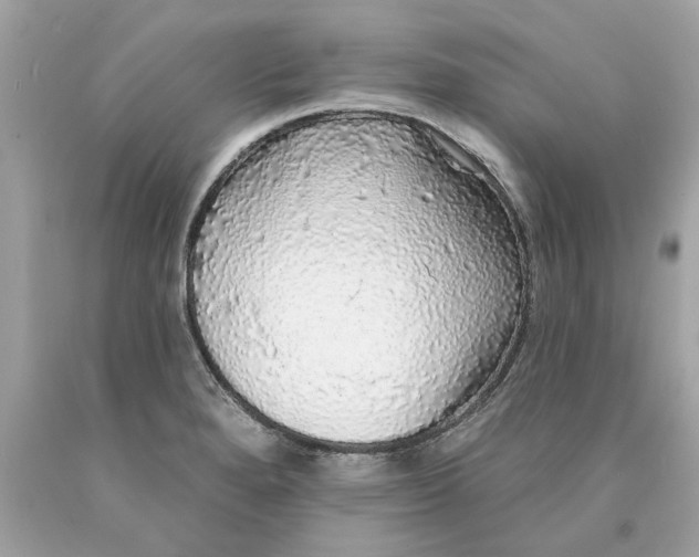 X0000089961280200707201940