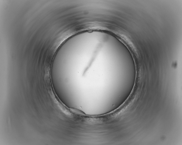 X0000089961281200707201940