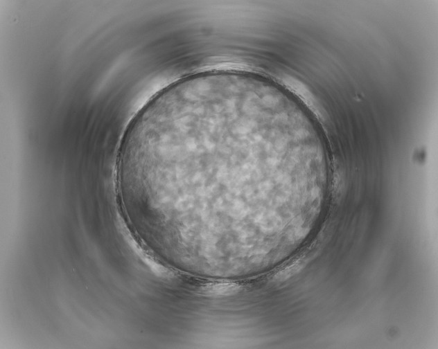 X0000089961282200707201940