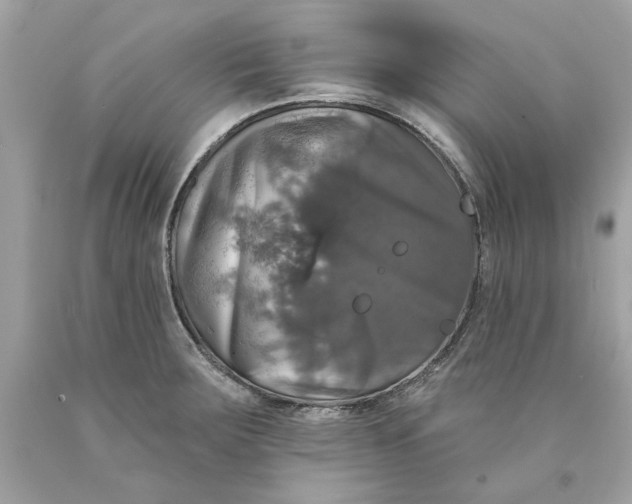 X0000089961283200707201940