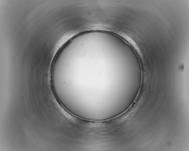 X0000089961285200707201940