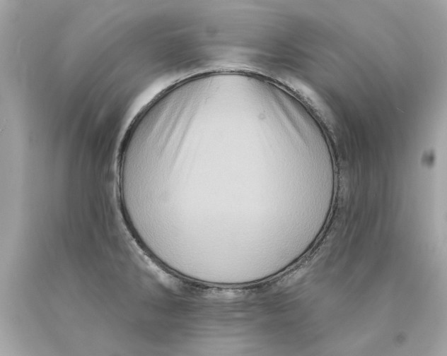 X0000089961286200707201940