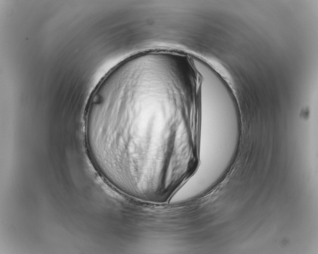 X0000089961287200707201940