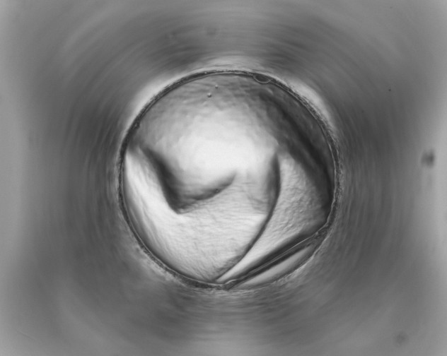 X0000089961288200707201940