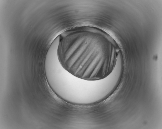 X0000089961289200707201940