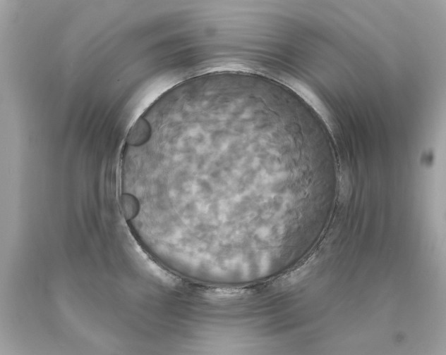 X0000089961290200707201940