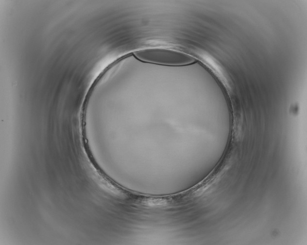 X0000089961291200707201940