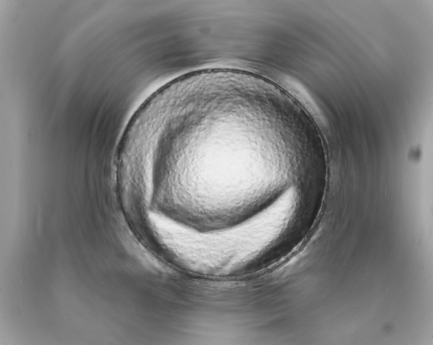 X0000089961292200707201940