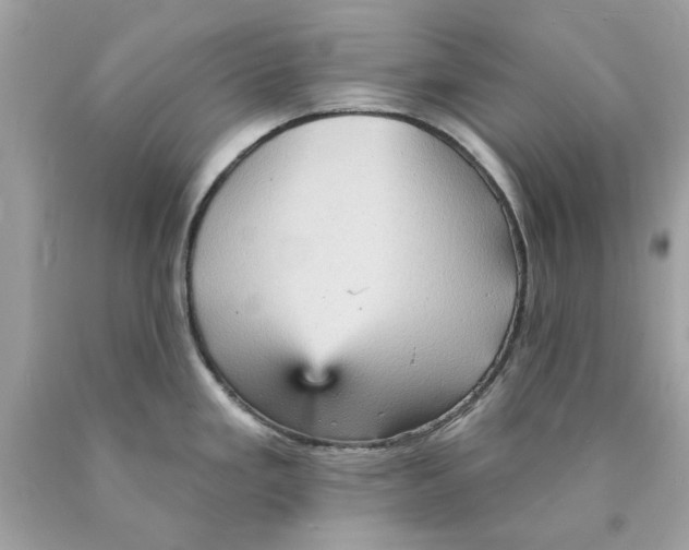 X0000089961293200707201940