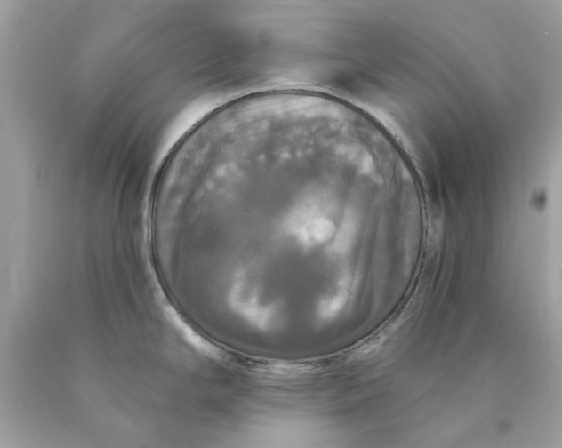 X0000089961294200707201940