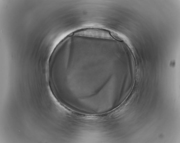 X0000089961295200707201940