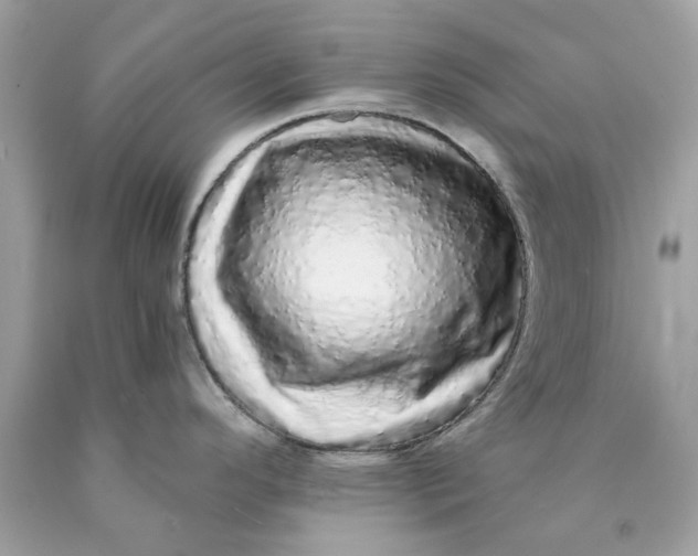 X0000089961296200707201940