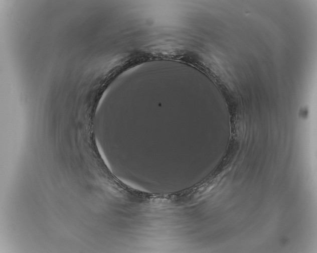 X0000089961297200707201939