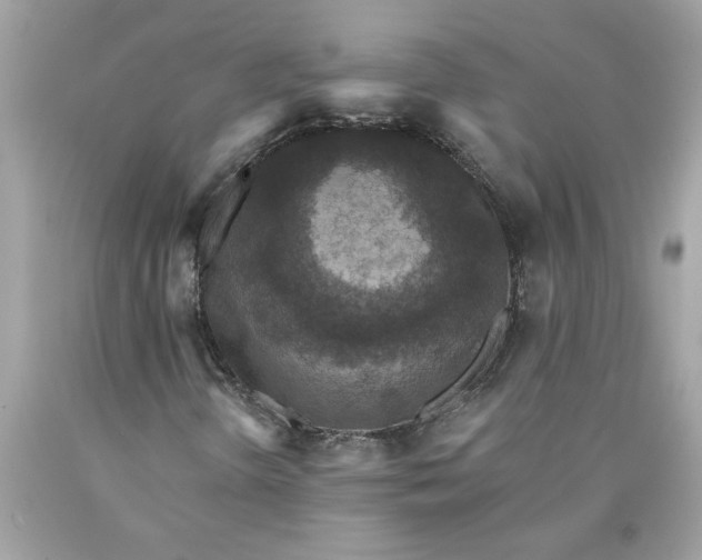 X0000089961298200707201939