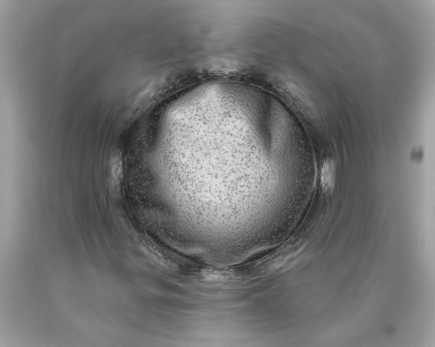 X0000089961299200707201939